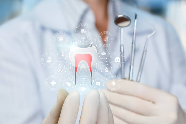 Best Wisdom Tooth Removal  in Mayo, FL